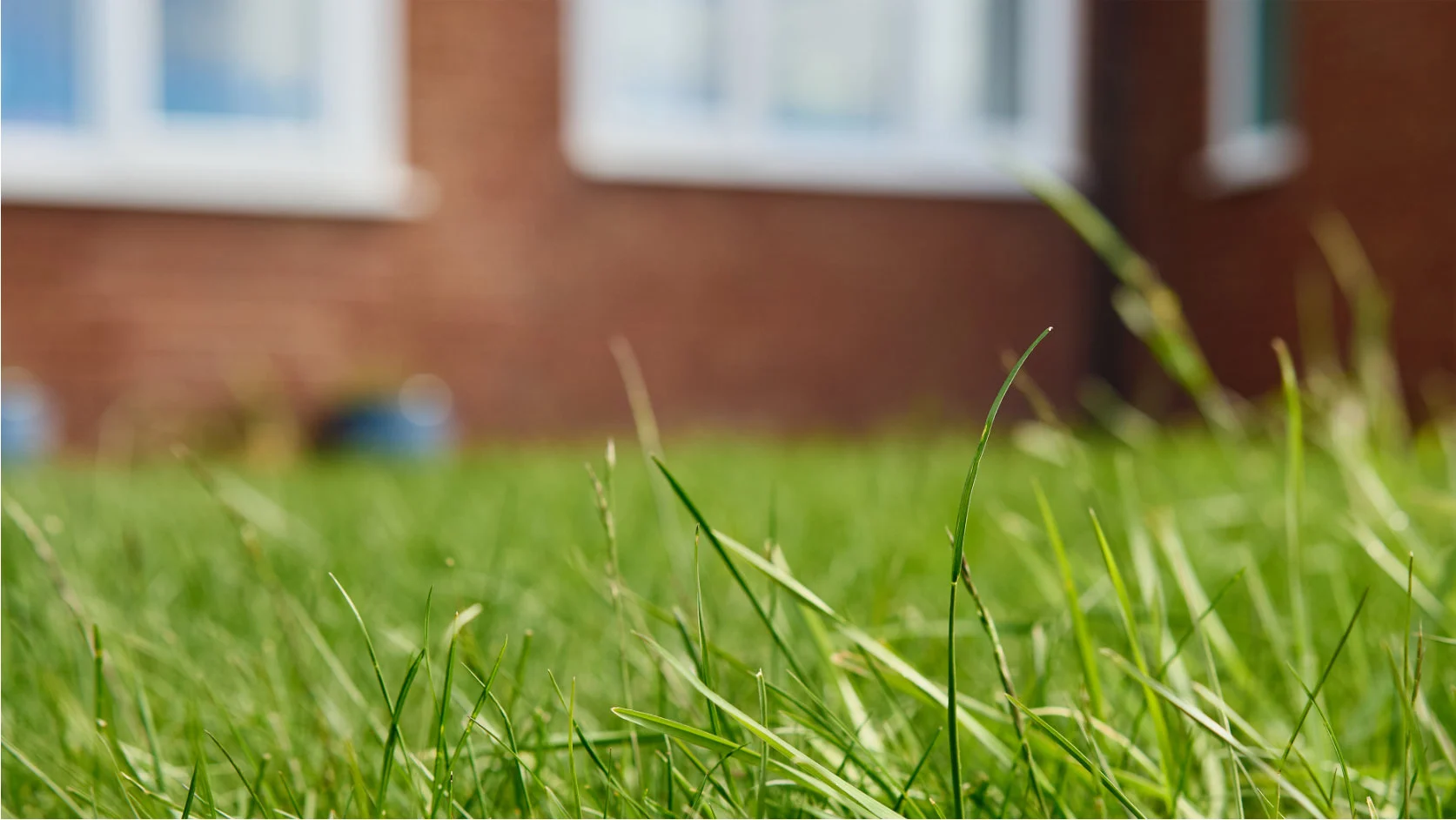 Housing associations are now being judged on communal area upkeep