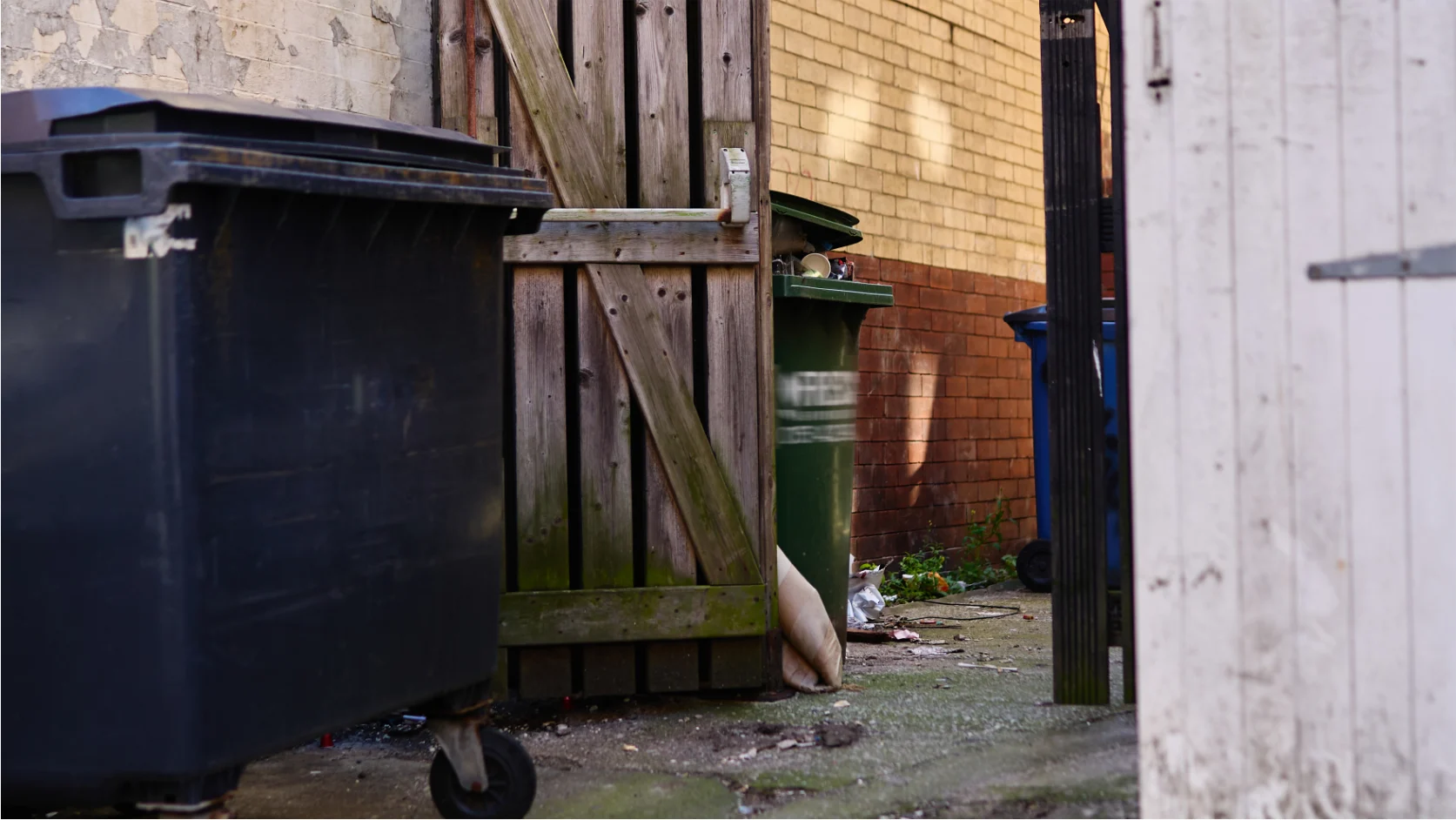 The back of a commercial building is where pest problems start