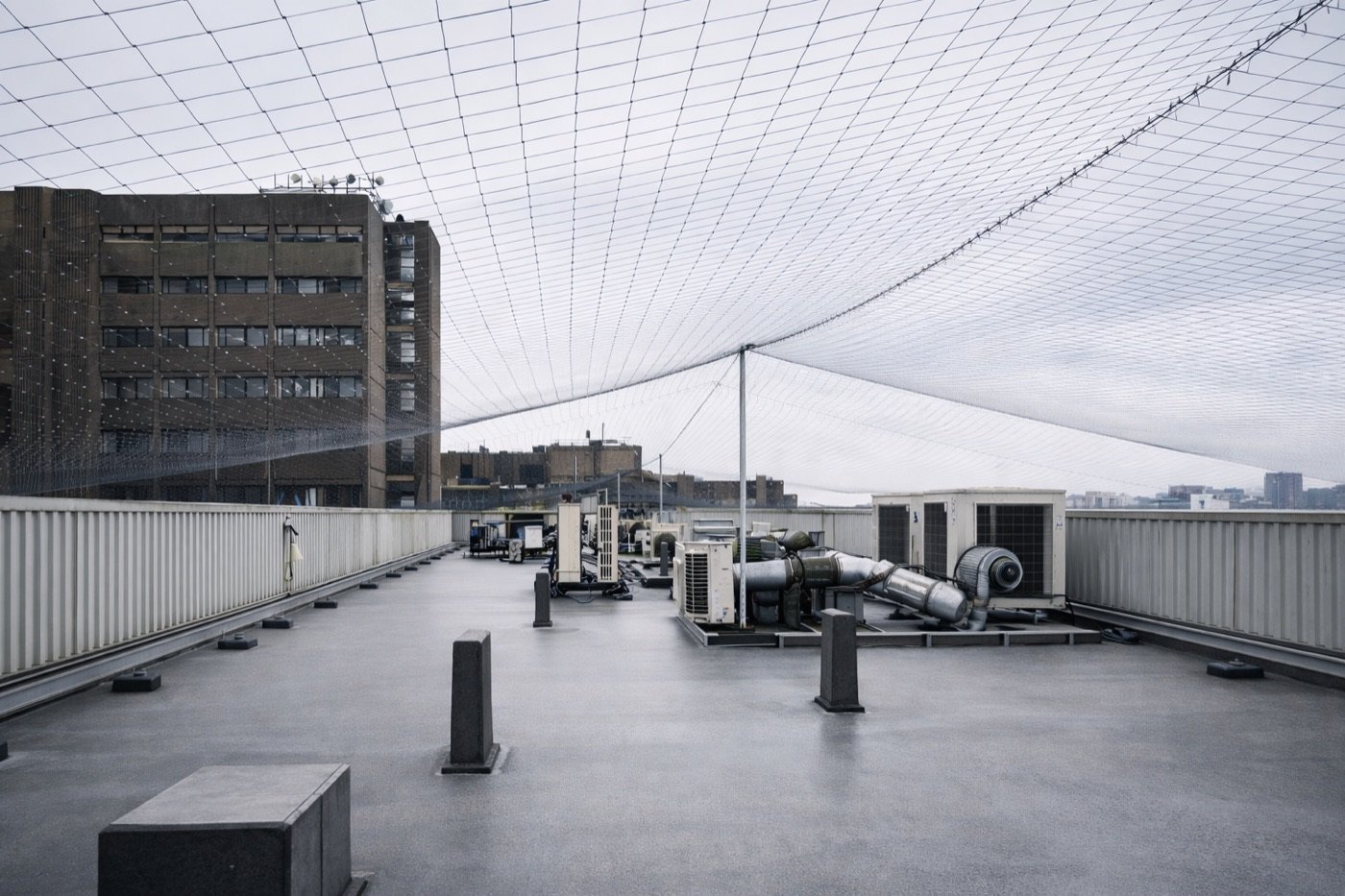 Bird-management work around roofs and structures